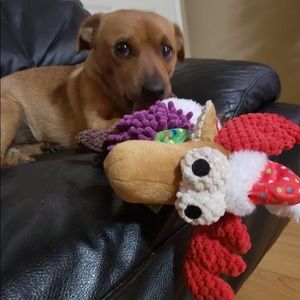 Meet your Posher, Kevin